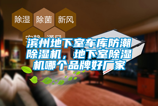 濱州地下室車庫防潮除濕機(jī)，地下室除濕機(jī)哪個(gè)品牌好廠家
