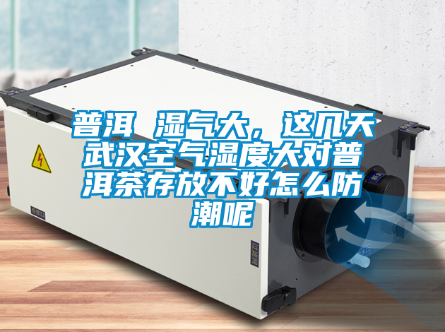 普洱 濕氣大，這幾天武漢空氣濕度大對普洱茶存放不好怎么防潮呢