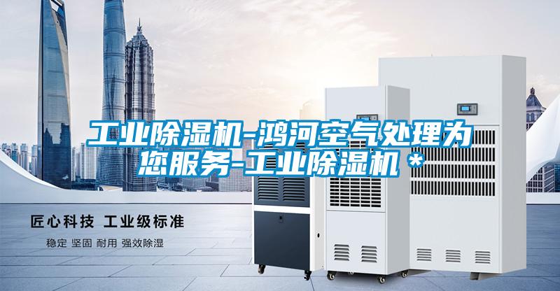 工業(yè)除濕機-鴻河空氣處理為您服務-工業(yè)除濕機＊