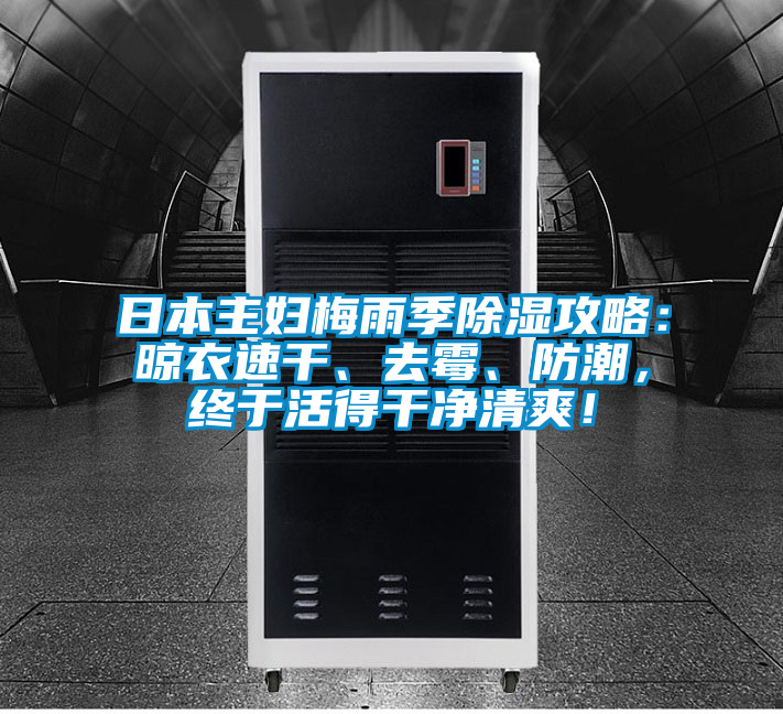 日本主婦梅雨季除濕攻略：晾衣速干、去霉、防潮，終于活得干凈清爽！