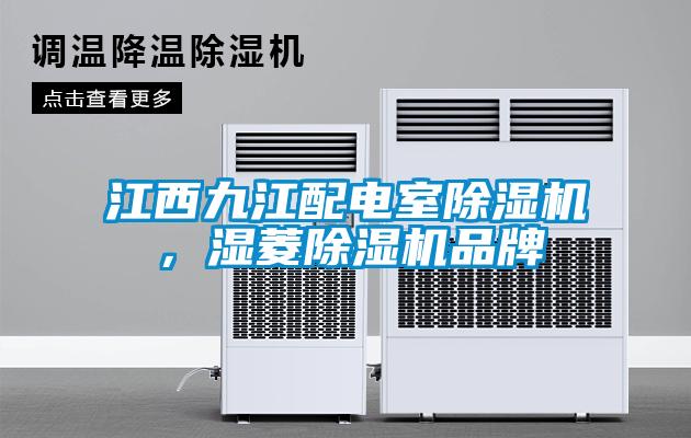 江西九江配電室除濕機，濕菱除濕機品牌