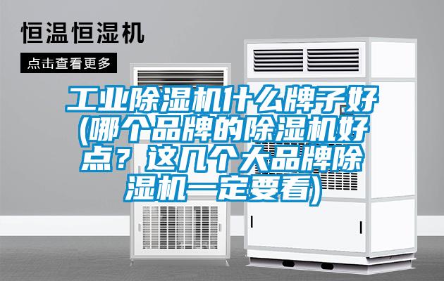 工業(yè)除濕機(jī)什么牌子好(哪個(gè)品牌的除濕機(jī)好點(diǎn)?這幾個(gè)大品牌除濕機(jī)一定要看)