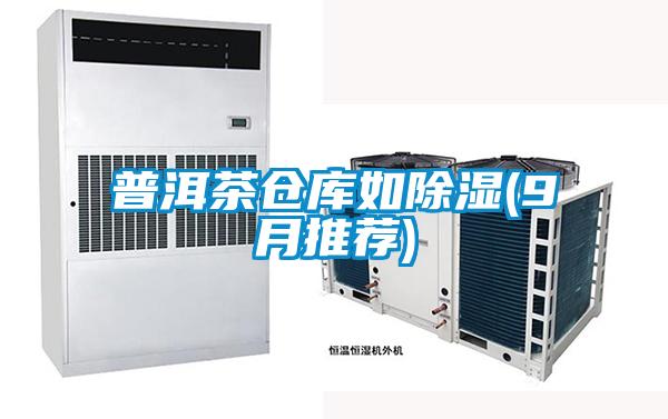 普洱茶倉(cāng)庫(kù)如除濕(9月推薦)