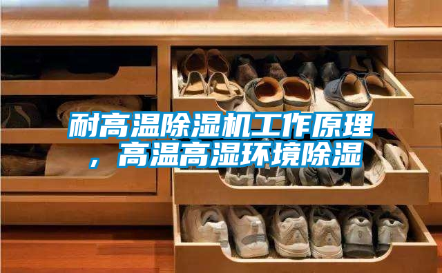 耐高溫除濕機(jī)工作原理，高溫高濕環(huán)境除濕