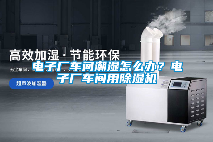 電子廠車間潮濕怎么辦？電子廠車間用除濕機