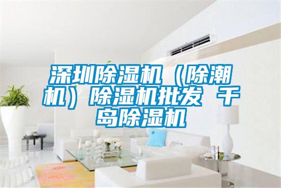 深圳除濕機(除潮機)除濕機批發(fā) 千島除濕機