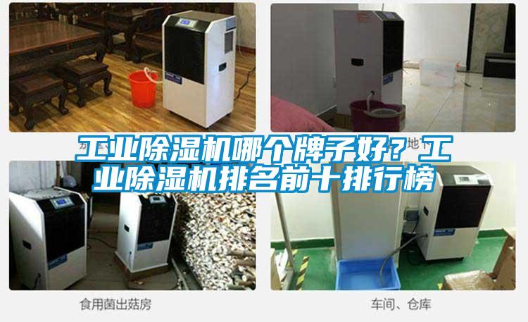 工業(yè)除濕機哪個牌子好？工業(yè)除濕機排名前十排行榜