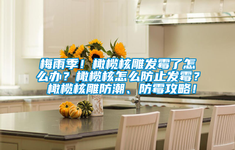 梅雨季！橄欖核雕發(fā)霉了怎么辦？橄欖核怎么防止發(fā)霉？ 橄欖核雕防潮、防霉攻略！