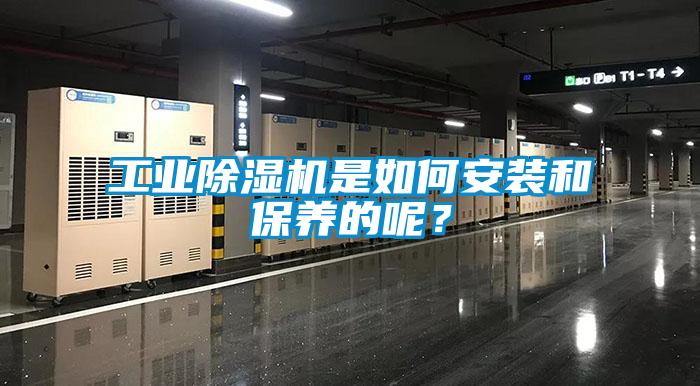 工業(yè)除濕機(jī)是如何安裝和保養(yǎng)的呢？