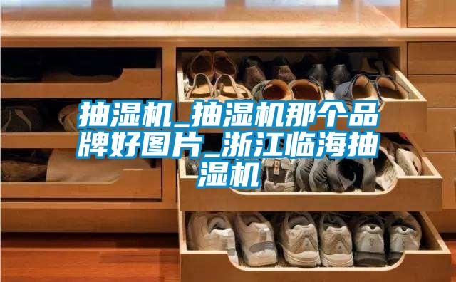 抽濕機(jī)_抽濕機(jī)那個品牌好圖片_浙江臨海抽濕機(jī)