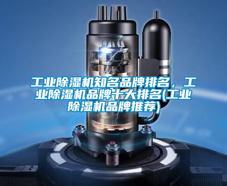 工業(yè)除濕機(jī)知名品牌排名，工業(yè)除濕機(jī)品牌十大排名(工業(yè)除濕機(jī)品牌推薦)