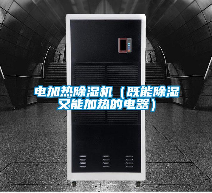 電加熱除濕機(jī)(既能除濕又能加熱的電器)