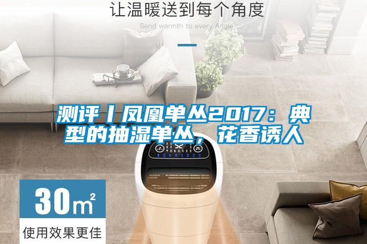 測評(píng)丨鳳凰單叢2017：典型的抽濕單叢，花香誘人