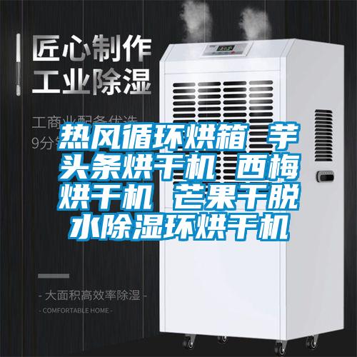熱風(fēng)循環(huán)烘箱 芋頭條烘干機(jī) 西梅烘干機(jī) 芒果干脫水除濕環(huán)烘干機(jī)