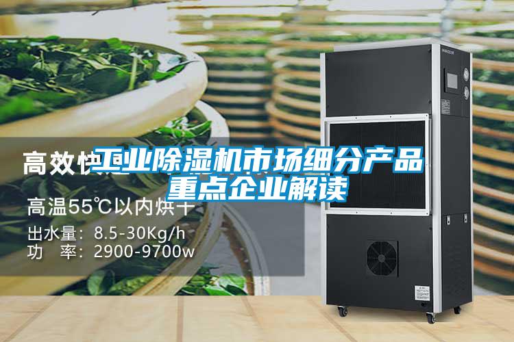 工業(yè)除濕機(jī)市場細(xì)分產(chǎn)品重點(diǎn)企業(yè)解讀