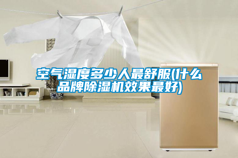 空氣濕度多少人最舒服(什么品牌除濕機(jī)效果最好)