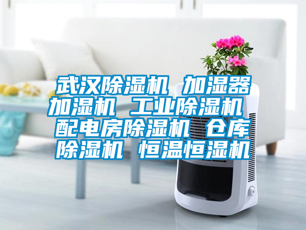 武漢除濕機 加濕器加濕機 工業(yè)除濕機 配電房除濕機 倉庫除濕機 恒溫恒濕機