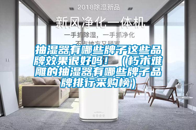 抽濕器有哪些牌子這些品牌效果很好嗎?。ㄐ嗄倦y雕的抽濕器有哪些牌子品牌排行采購榜）