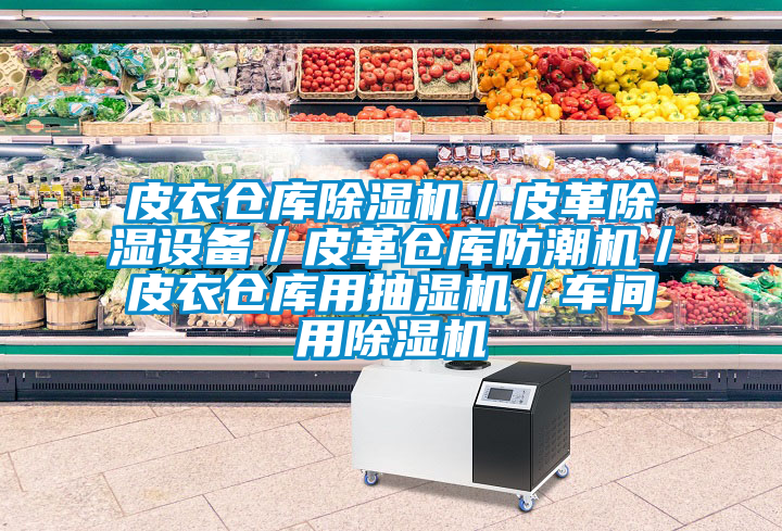 皮衣倉(cāng)庫(kù)除濕機(jī)/皮革除濕設(shè)備/皮革倉(cāng)庫(kù)防潮機(jī)/皮衣倉(cāng)庫(kù)用抽濕機(jī)/車(chē)間用除濕機(jī)