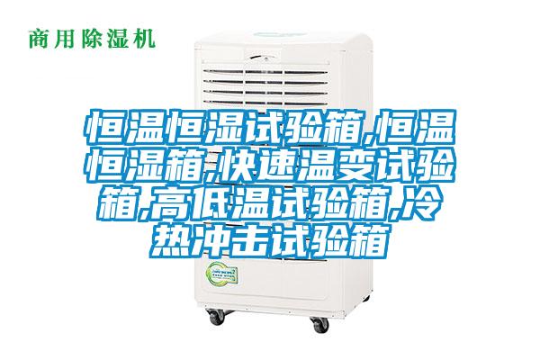 恒溫恒濕試驗(yàn)箱,恒溫恒濕箱,快速溫變?cè)囼?yàn)箱,高低溫試驗(yàn)箱,冷熱沖擊試驗(yàn)箱