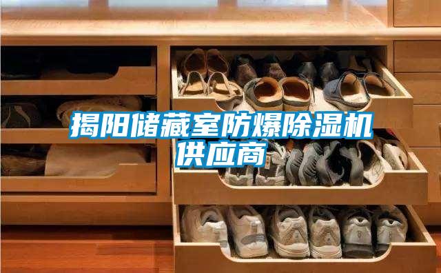揭陽(yáng)儲(chǔ)藏室防爆除濕機(jī)供應(yīng)商