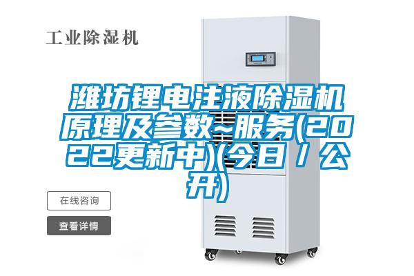 濰坊鋰電注液除濕機(jī)原理及參數(shù)~服務(wù)(2022更新中)(今日/公開)