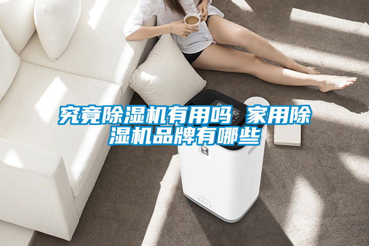 究竟除濕機(jī)有用嗎 家用除濕機(jī)品牌有哪些