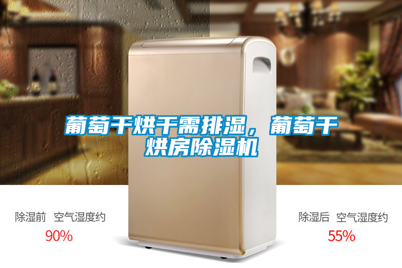 葡萄干烘干需排濕，葡萄干烘房除濕機(jī)