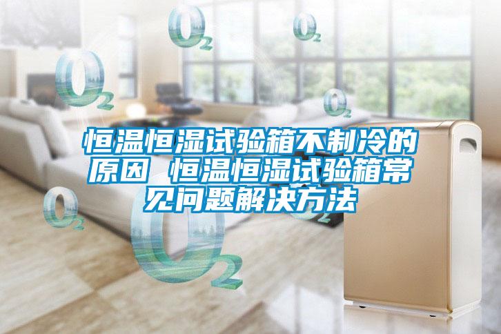 恒溫恒濕試驗箱不制冷的原因 恒溫恒濕試驗箱常見問題解決方法