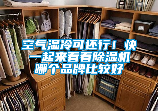 空氣濕冷可還行！快一起來看看除濕機哪個品牌比較好