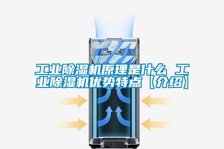 工業(yè)除濕機原理是什么 工業(yè)除濕機優(yōu)勢特點【介紹】