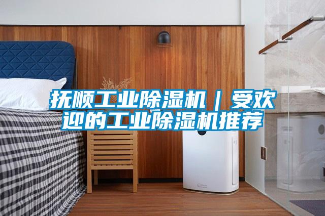 撫順工業(yè)除濕機(jī)|受歡迎的工業(yè)除濕機(jī)推薦