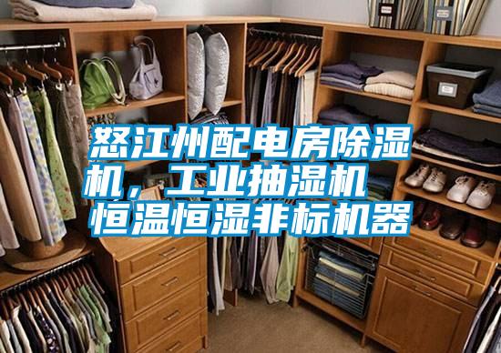 怒江州配電房除濕機，工業(yè)抽濕機  恒溫恒濕非標(biāo)機器