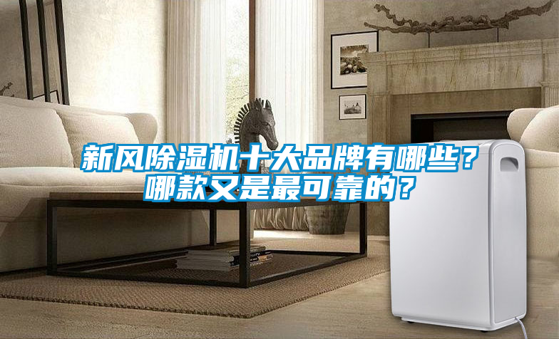 新風除濕機十大品牌有哪些？哪款又是最可靠的？