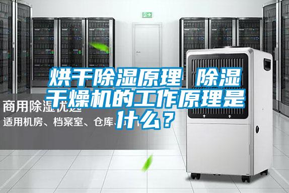 烘干除濕原理 除濕干燥機(jī)的工作原理是什么？