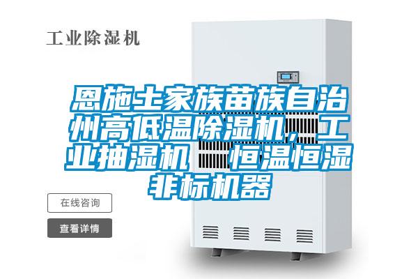 恩施土家族苗族自治州高低溫除濕機(jī)，工業(yè)抽濕機(jī)  恒溫恒濕非標(biāo)機(jī)器