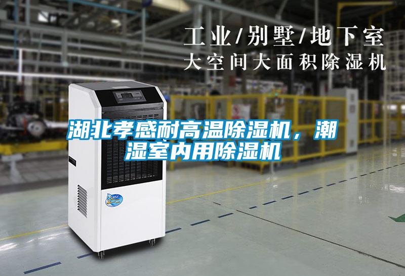 湖北孝感耐高溫除濕機，潮濕室內(nèi)用除濕機