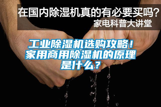 工業(yè)除濕機選購攻略！家用商用除濕機的原理是什么？
