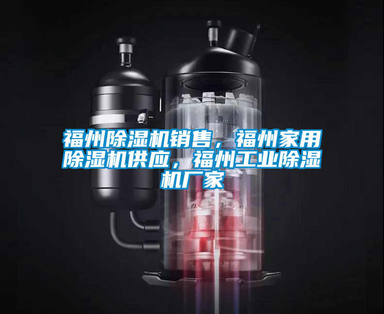 福州除濕機銷售，福州家用除濕機供應(yīng)，福州工業(yè)除濕機廠家