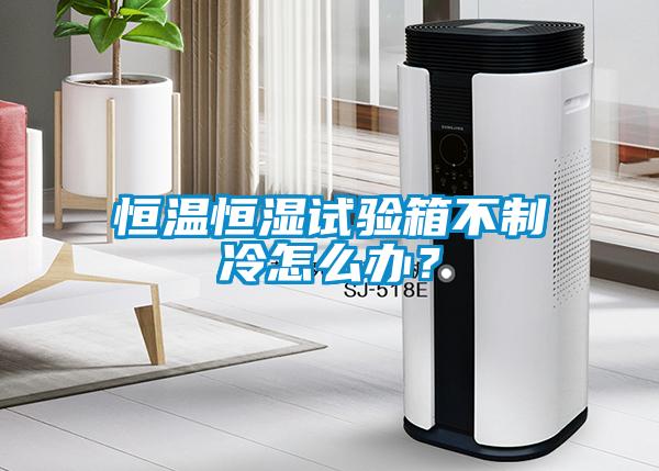 恒溫恒濕試驗(yàn)箱不制冷怎么辦？