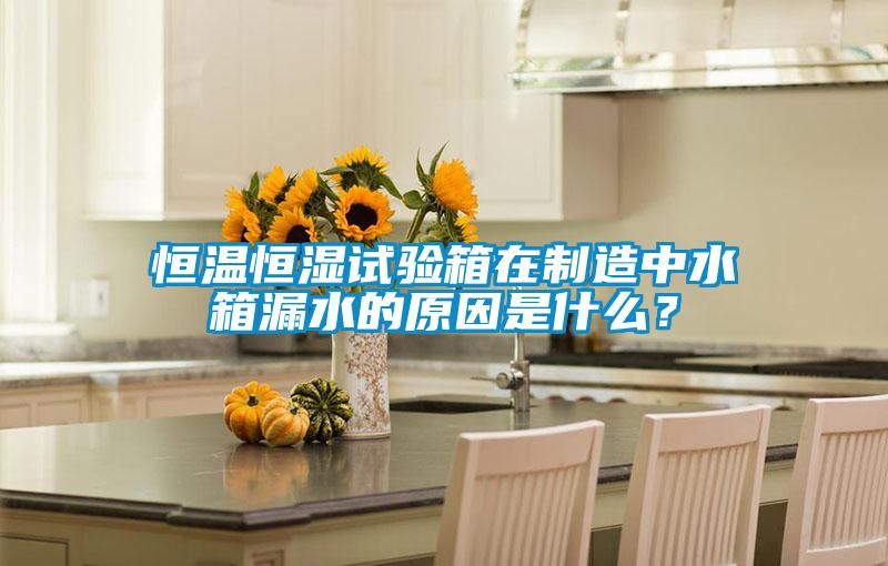 恒溫恒濕試驗箱在制造中水箱漏水的原因是什么？