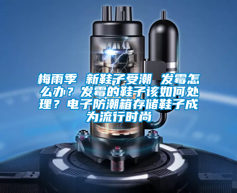 梅雨季 新鞋子受潮 發(fā)霉怎么辦？發(fā)霉的鞋子該如何處理？電子防潮箱存儲鞋子成為流行時尚