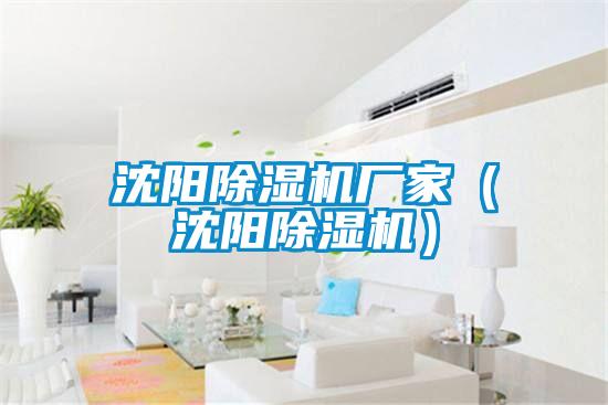 沈陽(yáng)除濕機(jī)廠(chǎng)家(沈陽(yáng)除濕機(jī))