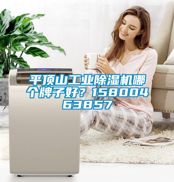 平頂山工業(yè)除濕機哪個牌子好？15800463857