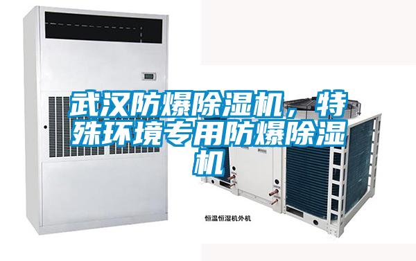 武漢防爆除濕機，特殊環(huán)境專用防爆除濕機