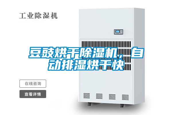 豆豉烘干除濕機，自動排濕烘干快
