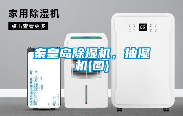 秦皇島除濕機(jī)，抽濕機(jī)(圖)