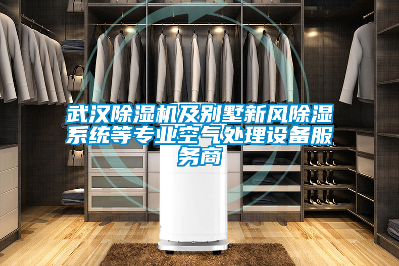 武漢除濕機(jī)及別墅新風(fēng)除濕系統(tǒng)等專(zhuān)業(yè)空氣處理設(shè)備服務(wù)商