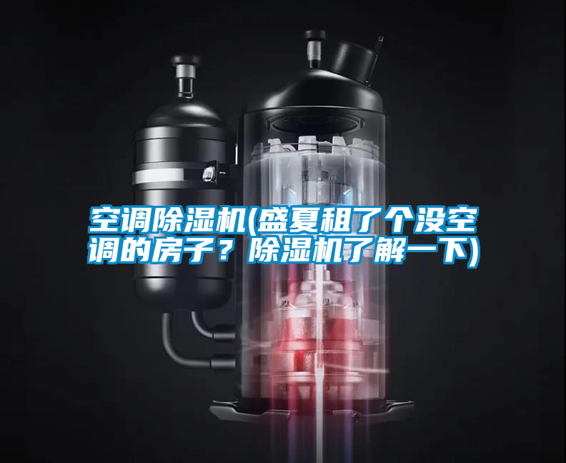 空調(diào)除濕機(盛夏租了個沒空調(diào)的房子?除濕機了解一下)