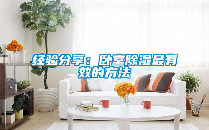 經(jīng)驗分享:臥室除濕最有效的方法